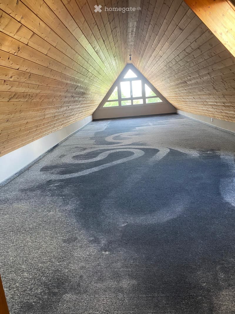 Empty attic space with wooden walls and ceiling, grey carpeted floor, and a triangular skylight window.