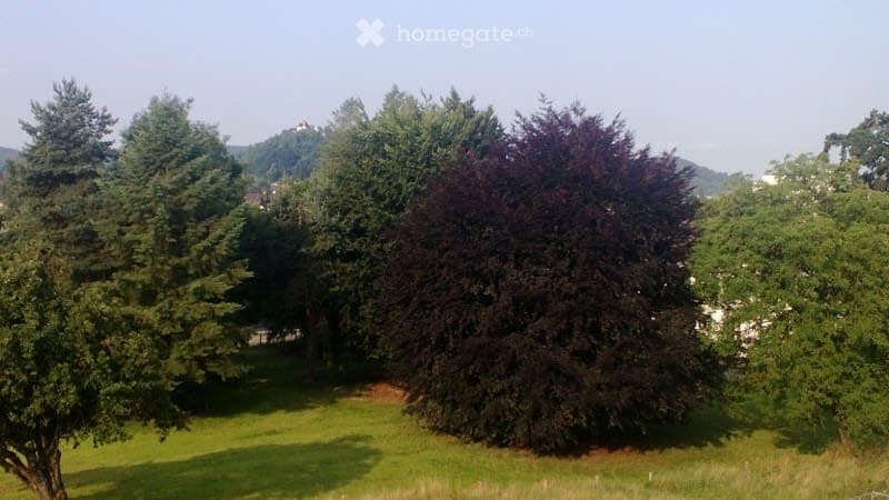 Nähe Altstadt; sonnig + zentral, freie Aussicht (3)