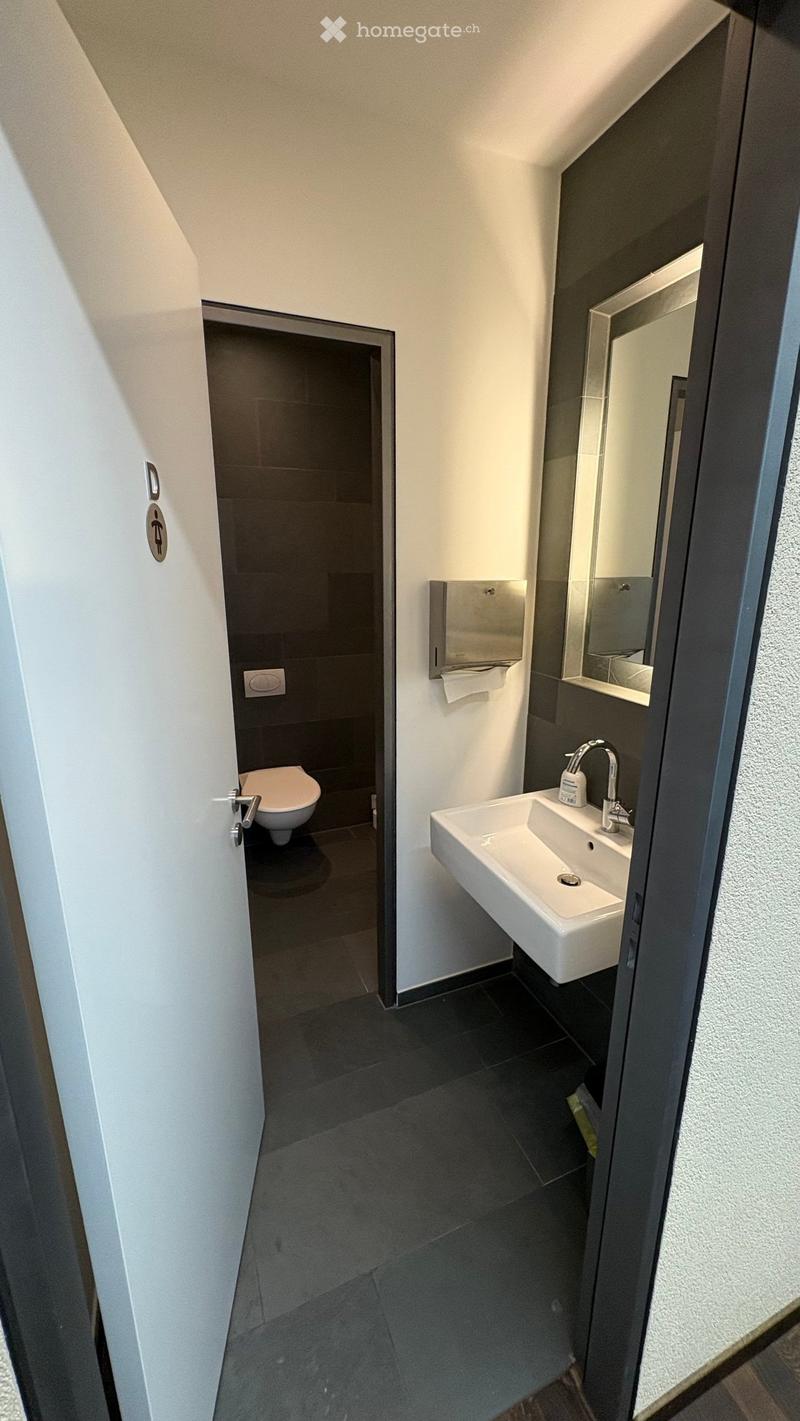 Bathroom with toilet, sink, mirror, and tissue dispenser