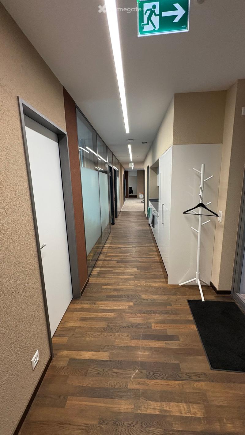 Empty hallway with wooden floor, glass walls, white ceiling, white door, white coat rack, black rug, white power outlet