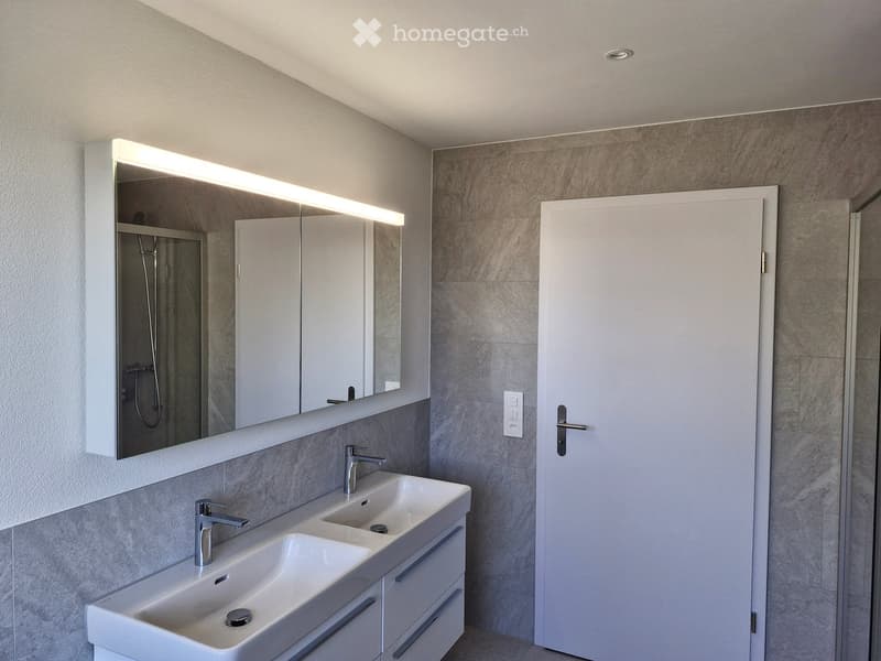 Modern bathroom with double sink, sleek faucet, large mirror with built-in lighting, and built-in cabinetry.