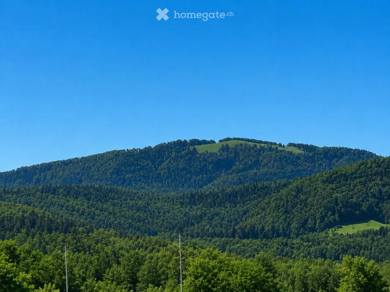 A panoramic view of a lush, green forested mountain range under a clear blue sky. The landscape features rolling hills covered in dense trees, with a mix of evergreen and deciduous foliage.