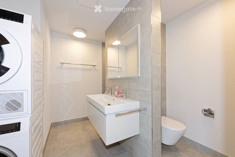 Modern bathroom with a white sink, mirror, toilet, and a washing machine. Features sleek fixtures, a built-in cabinet, and a modern design.