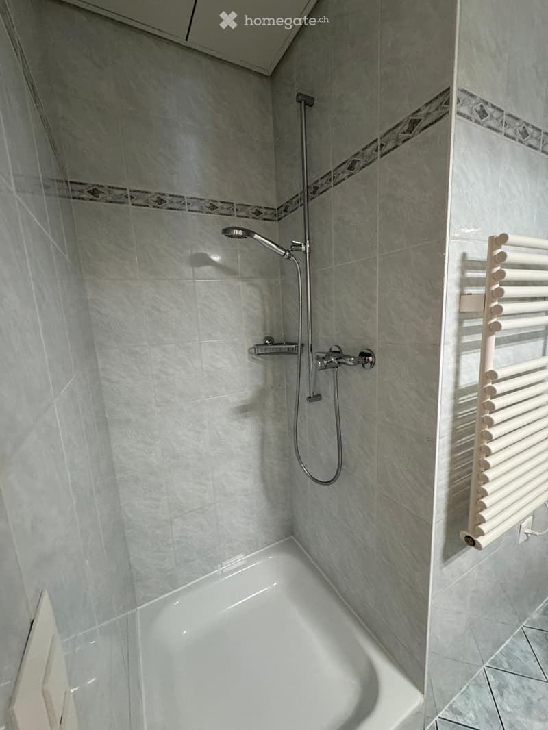 Modern bathroom with a bathtub, glass-enclosed shower area, and a white radiator. The walls are tiled in light grey marble with decorative borders.