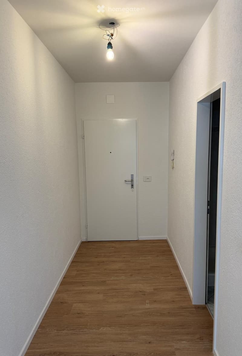Empty hallway with wooden flooring, white walls, and a single closed door at the end. A light fixture hangs from the ceiling, and an open doorway leads to another room on the right.