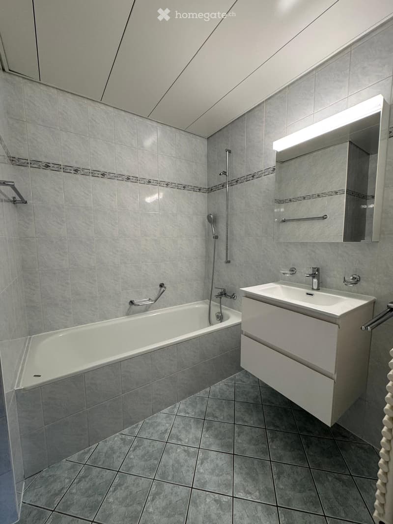 Modern bathroom with grey tiles, a bathtub, a sink with a mirror, and a shower hose.