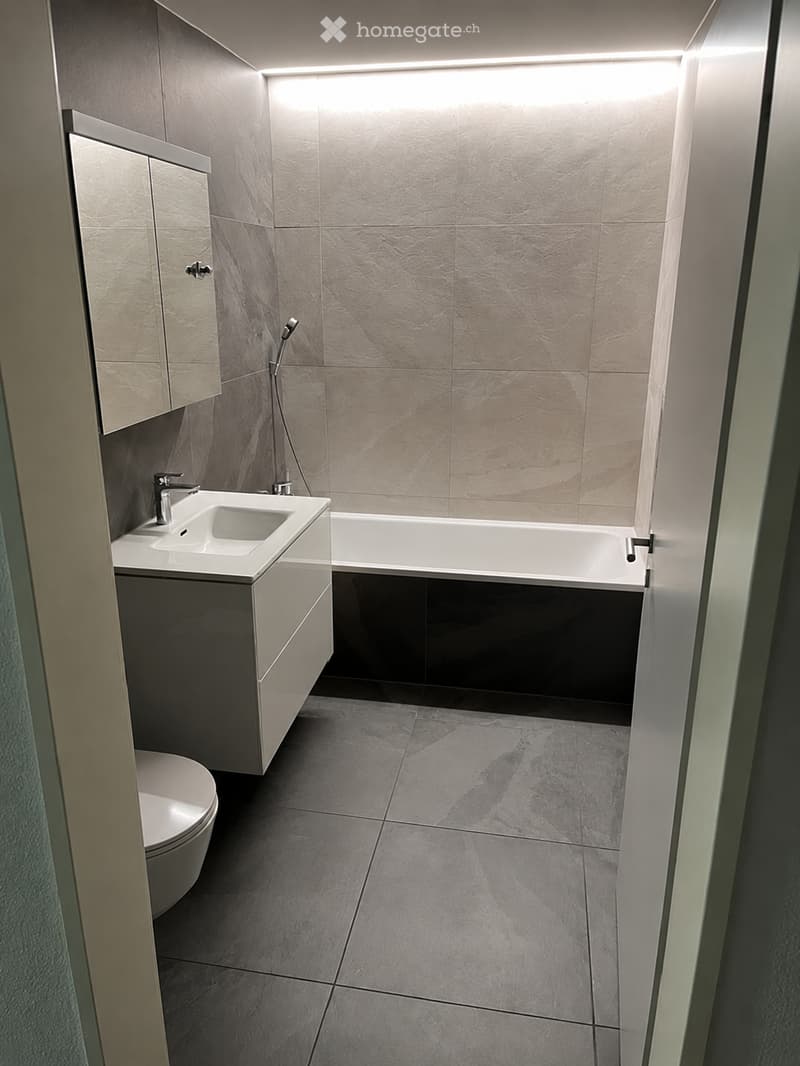 Modern bathroom with a white sink, bathtub, toilet, and mirrored cabinet. Grey tiled walls and floor.