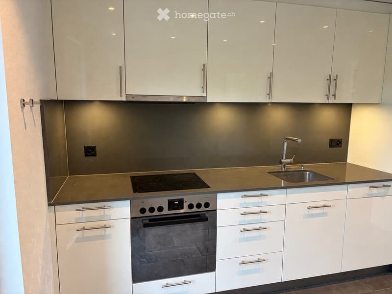 Modern kitchen with white cabinets, stainless steel sink, faucet, oven, and induction cooktop.