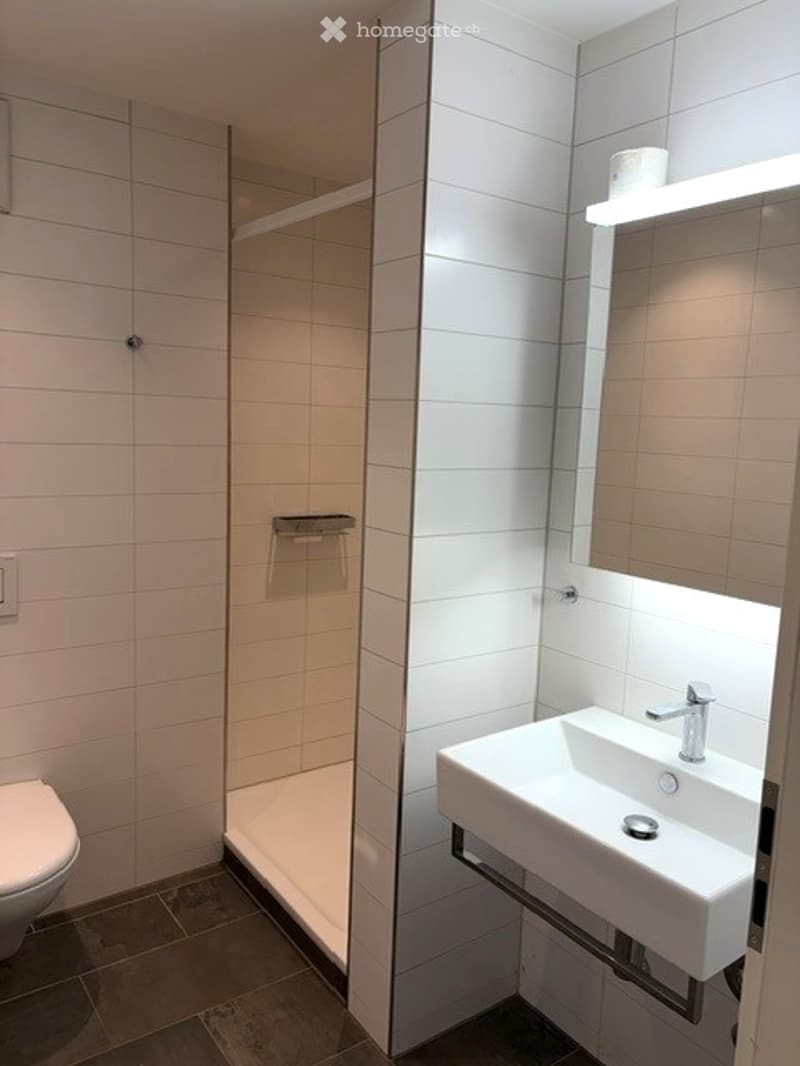 Modern bathroom with white tiled walls, a corner shower, a toilet, a sink with a mirror, and a built-in shelf above the sink.