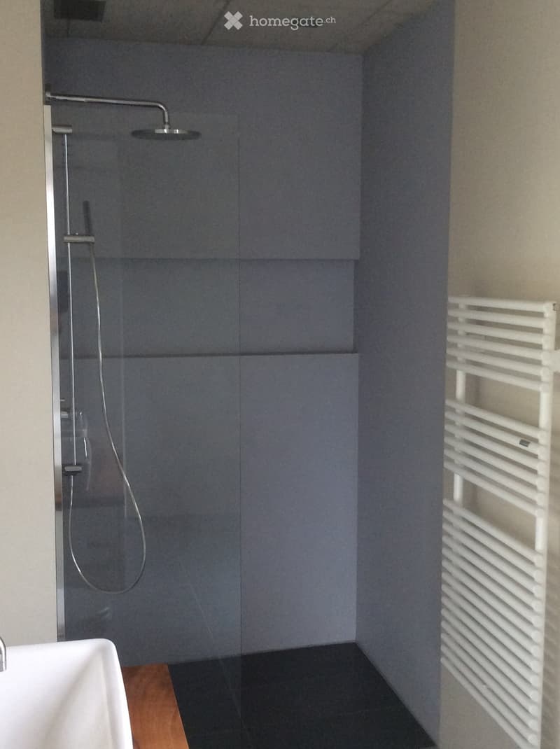 Modern bathroom with a glass-enclosed shower, a white sink, and a white radiator on the wall.