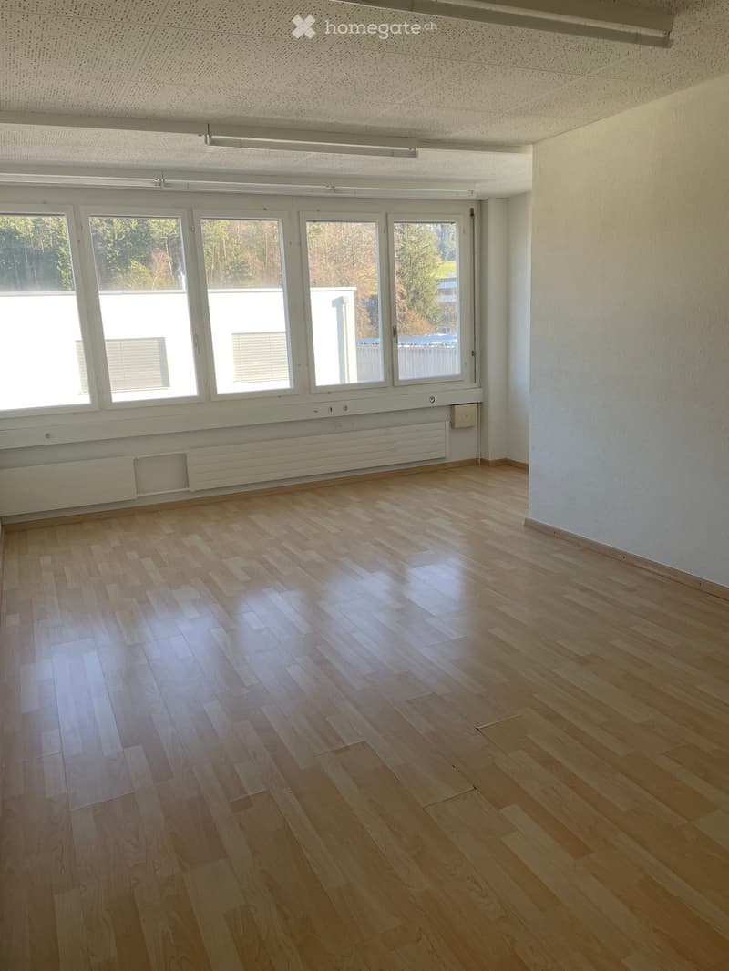 Empty room with wooden floors, large windows, white walls, ceiling lights, and white radiators.