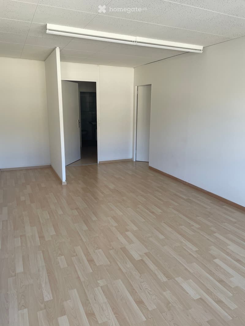 Empty room with white walls and wooden floor, opened doors to two rooms, large window on one wall, white ceiling with a ceiling light