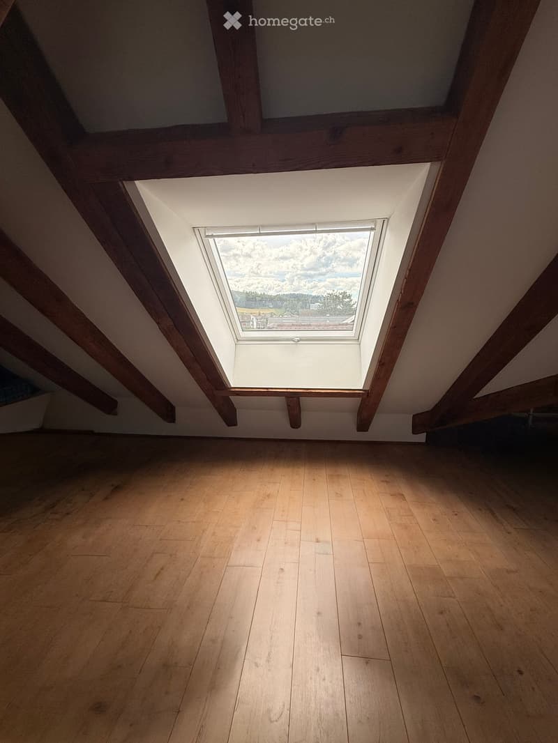 Empty attic space with wooden floor and exposed wooden beams, featuring a skylight window offering a view of the sky and landscape.