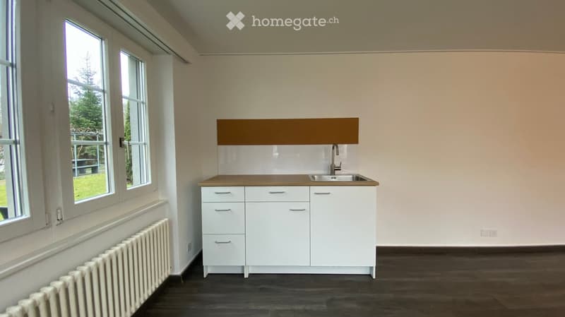 empty room with white cabinetry, silver sink, windows with green view
