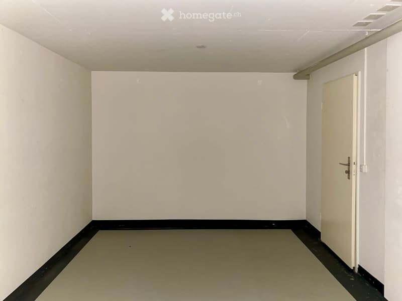 empty room, white walls, black flooring, closed door