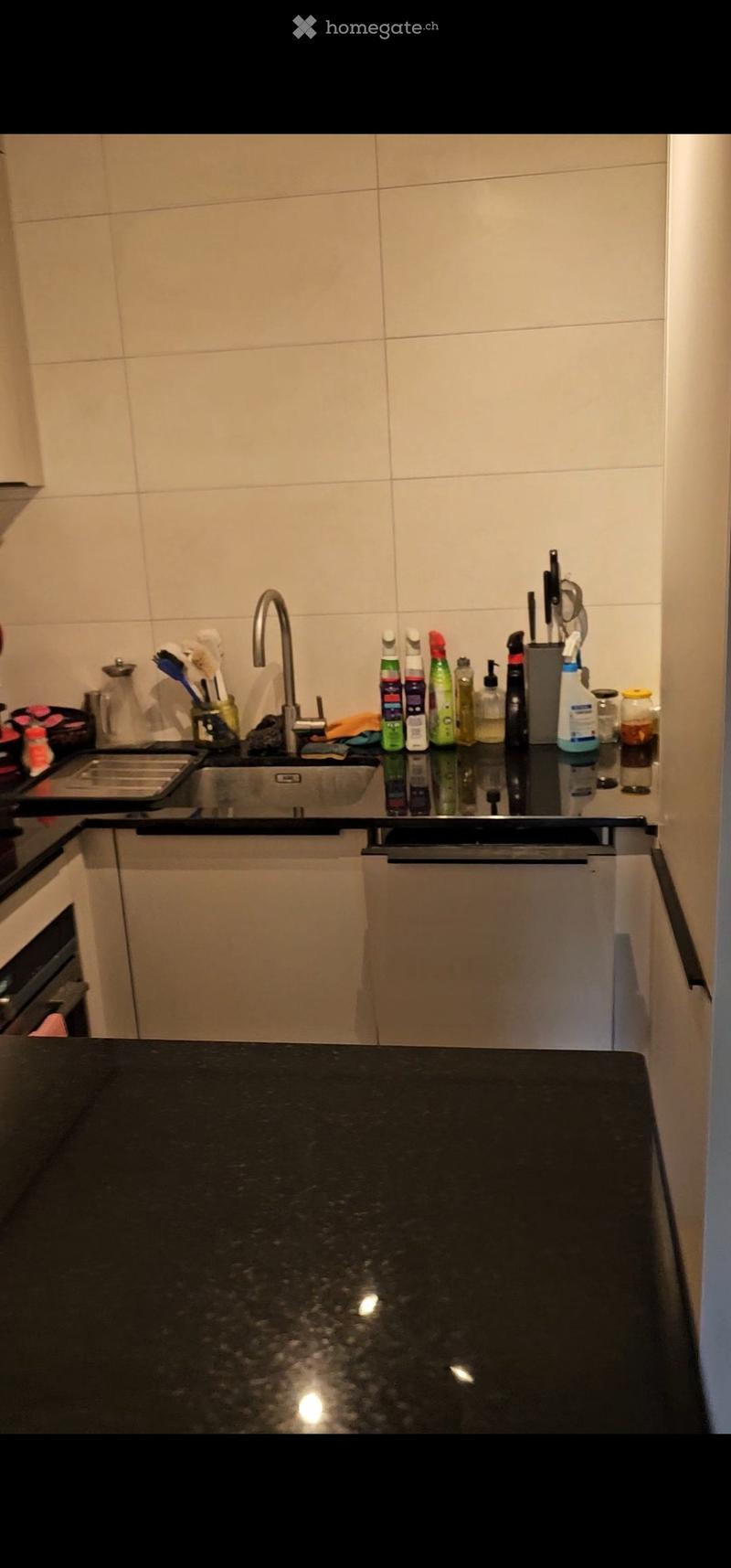 Modern kitchen with black granite countertop, stainless steel sink, dishwasher, and various cleaning supplies neatly arranged on the counter.