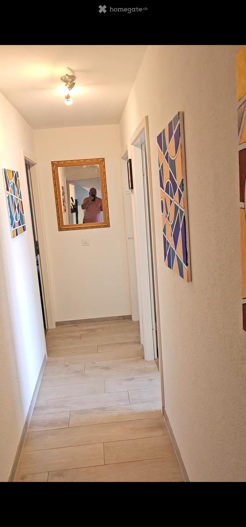 A narrow hallway with light wooden flooring, white walls, and modern lighting fixtures. A large mirror with a decorative frame is mounted on one wall, and colorful abstract artwork is displayed on the adjacent wall. The hallway leads to an open doorway at