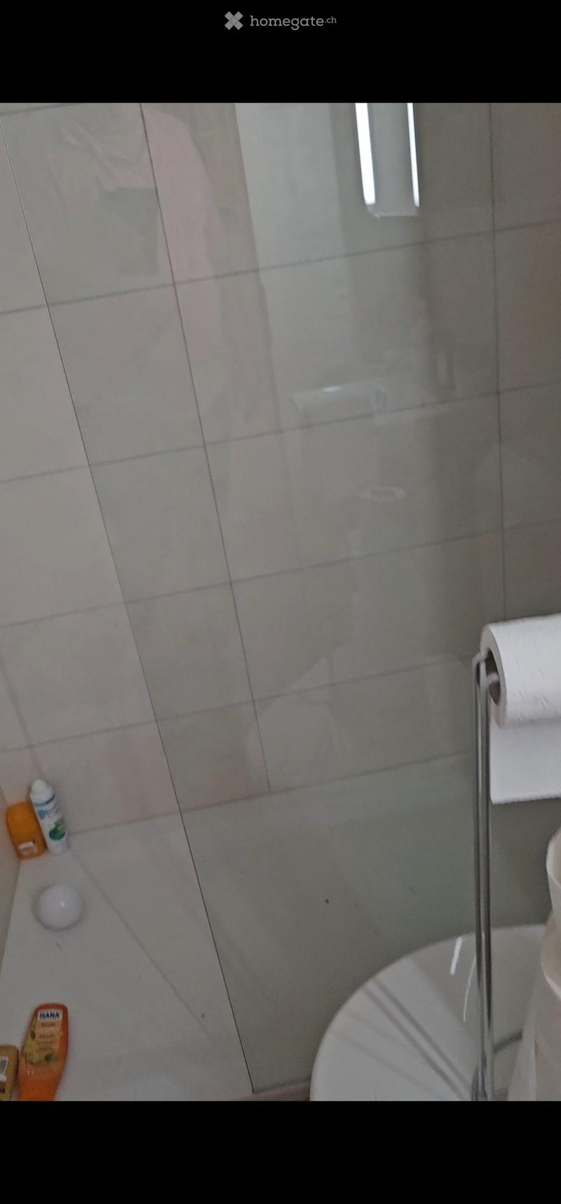 Bathroom with a toilet, toilet paper holder, shower enclosure, and a bottle on the counter.