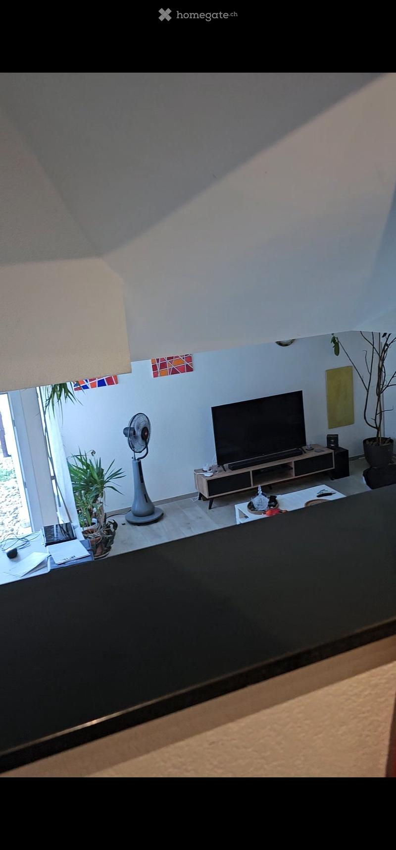 A modern living room with a television, a fan, and several tables, including a coffee table and a side table. There are potted plants and a view of an outdoor area through a large window.