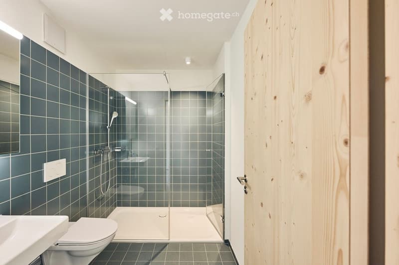 Modern bathroom with dark blue tiles, a glass-enclosed shower, a toilet, and a sink.