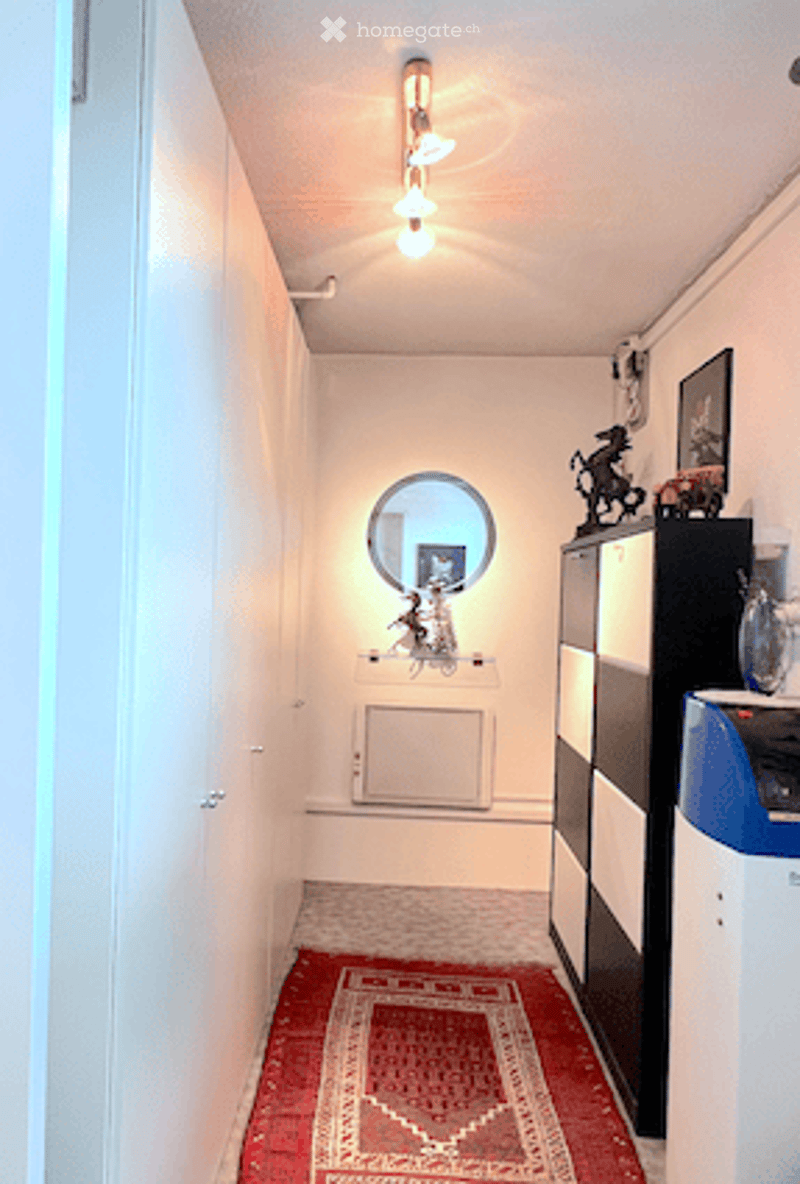 A narrow hallway with white walls, a round mirror, a small decorative shelf, and a red patterned rug leading to a room.