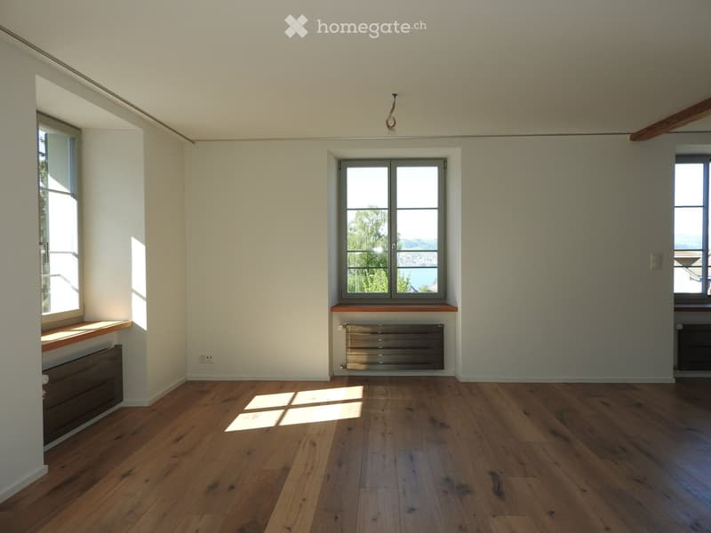 Empty room with wooden flooring, white walls, and large windows offering a scenic view. Radiators are visible beneath the windows.