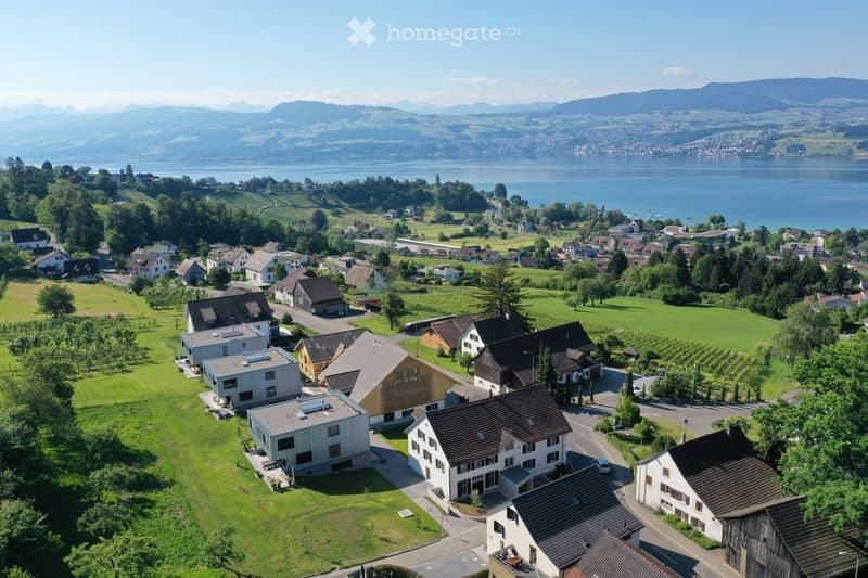 Aerial view of a residential area with multiple houses, surrounded by green fields, trees, and a lake in the background.