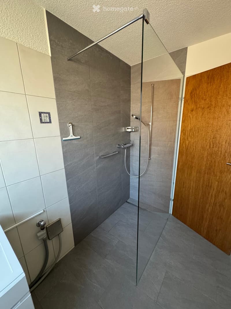 Modern shower area with glass partition, grey tiles, and multiple shower handles.