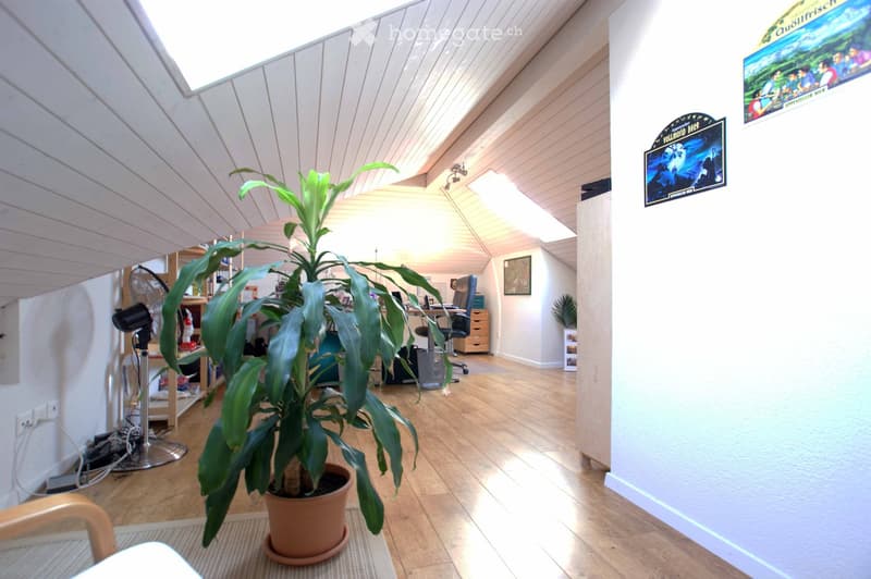 Brightly lit room with wooden flooring, large potted plant, desk with office chair, fan, and shelves with various items.