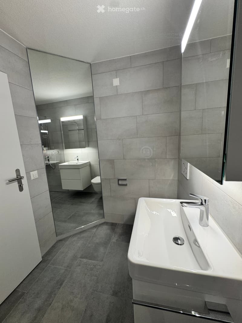 Modern bathroom with grey tiles, a large sink with a modern faucet, a mirrored cabinet, and a toilet in the background.