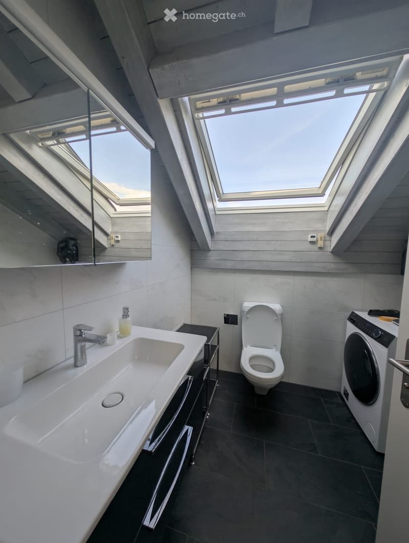 Modern bathroom with a large sink, toilet, washing machine, and skylight windows providing natural light.