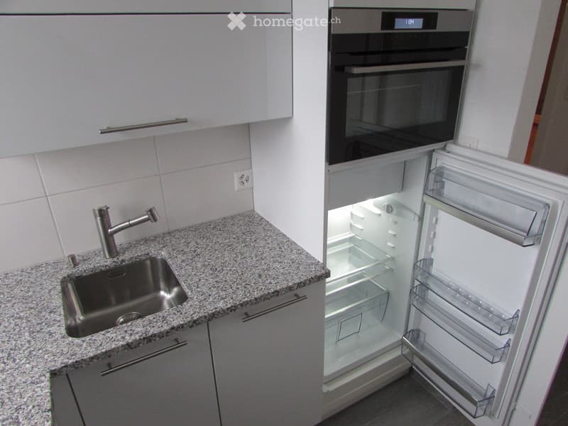 Modern kitchen with granite countertop, stainless steel sink, faucet, built-in oven, and open refrigerator with shelves.