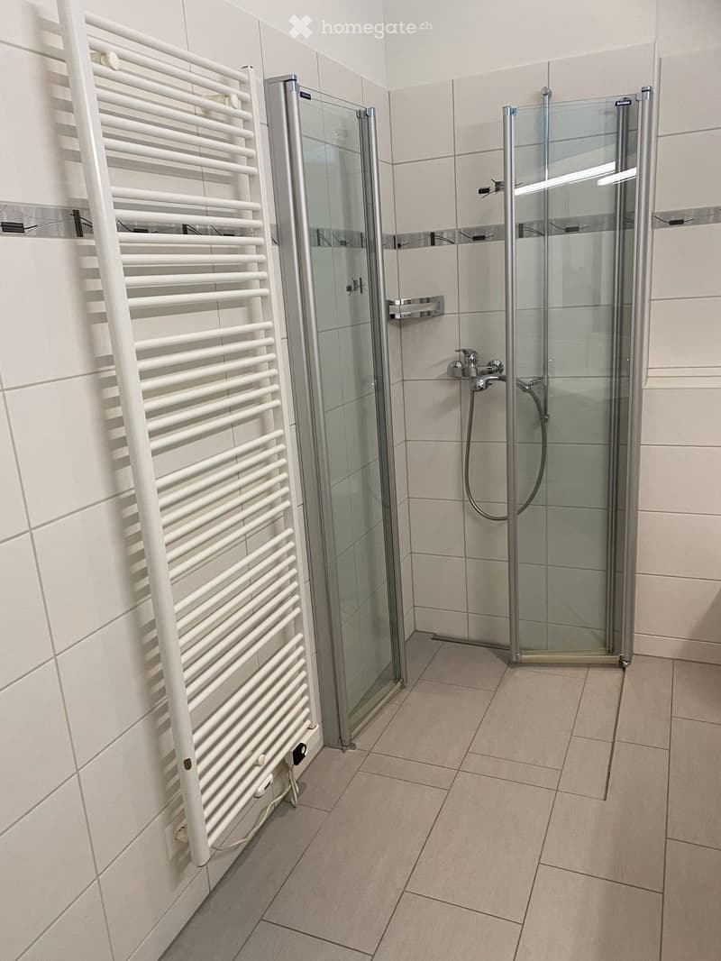 modern bathroom with glass shower enclosure, white tiles, white towel radiator, white walls