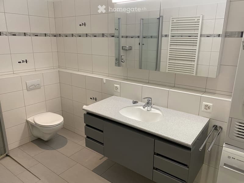 modern bathroom with white tiles, white toilet, white sink, mirror, towel rack, shower enclosure
