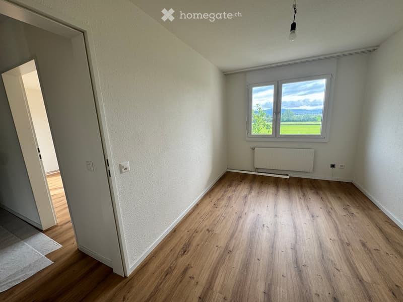 Empty room with wooden flooring, white walls, a window with a view of a green landscape, and a radiator below the window.
