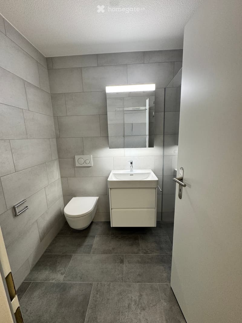 Modern bathroom with grey tiled walls and floor, white toilet, sink with a mirror above, and a sleek design.