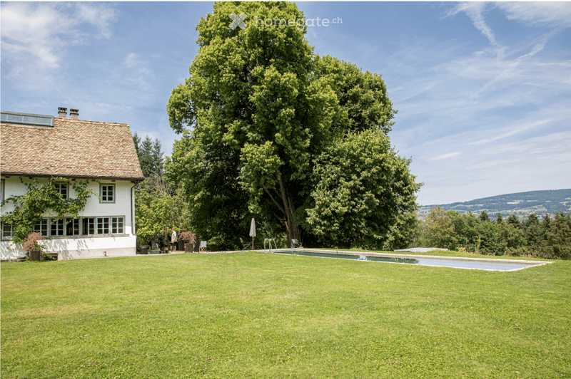 A well-maintained garden with a swimming pool, a large tree, and a white house with a tiled roof in the background.