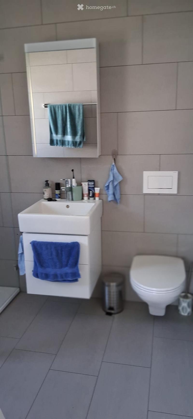 Modern bathroom with a white sink, mirror, and toilet. Towels are hanging on the cabinet and a trash can is placed on the floor.