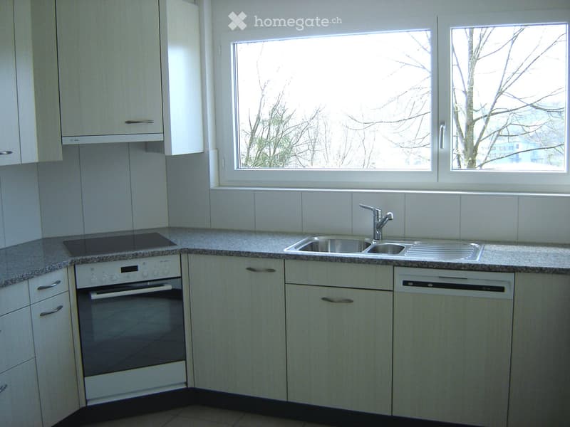 Modern kitchen with white cabinets, granite countertop, stainless steel sink, and built-in oven and dishwasher.