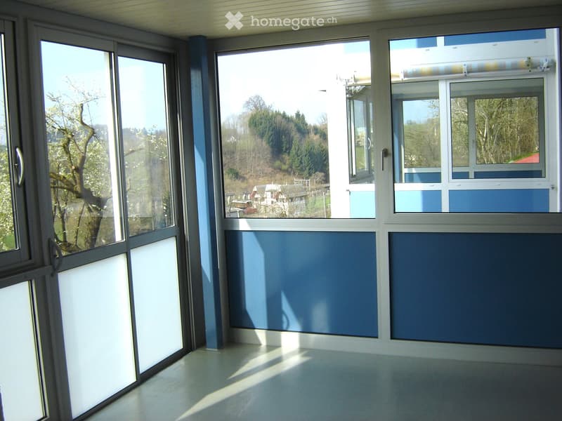 Empty room with large windows and blue accent walls, featuring a clean and minimalist design with natural light.