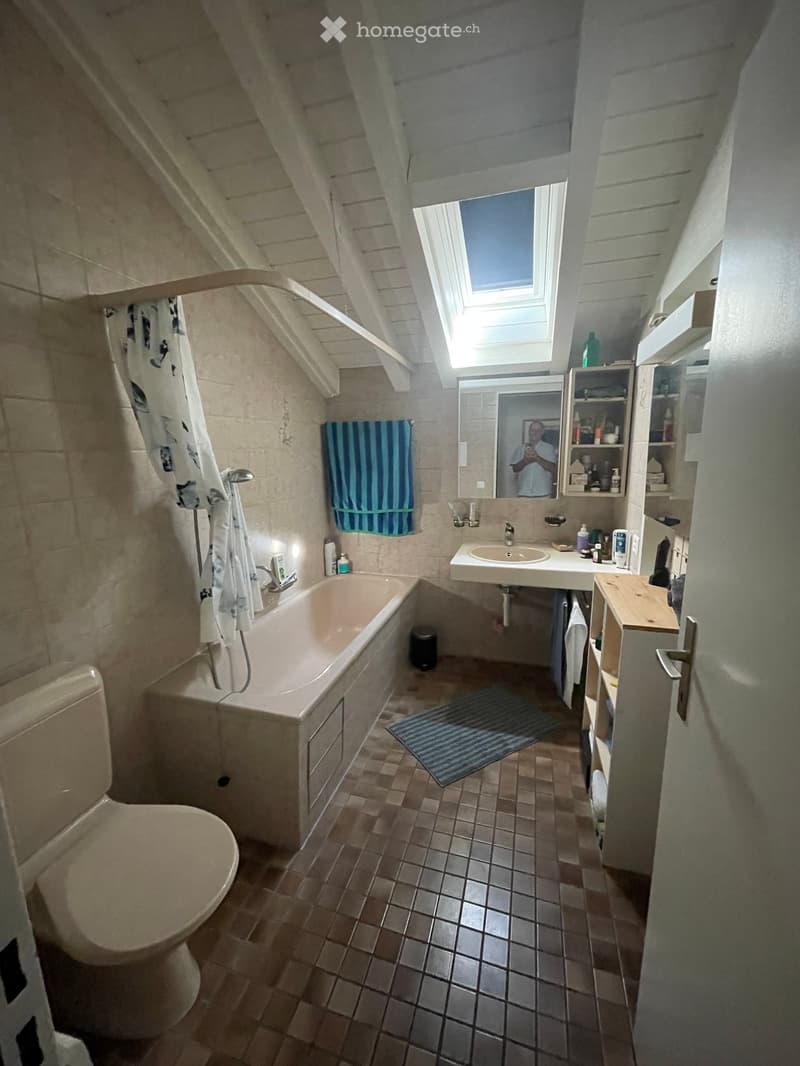 Bathroom with a bathtub, toilet, sink, mirror, and built-in shelves. Features a skylight window, tiled floor, and a small rug in front of the sink.