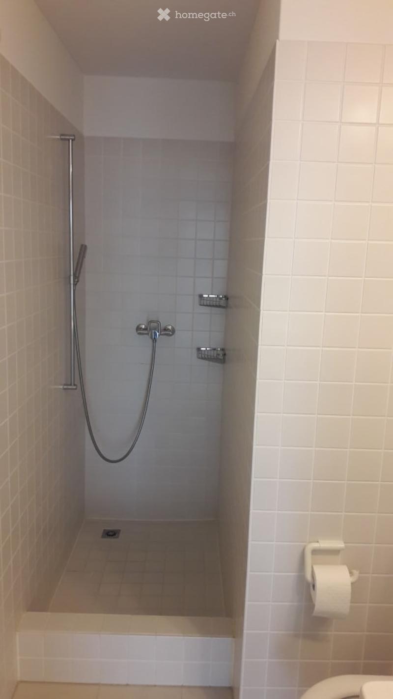 Modern, compact shower area with white tiled walls and floor, a handheld showerhead, and a toilet paper holder visible on the right side.