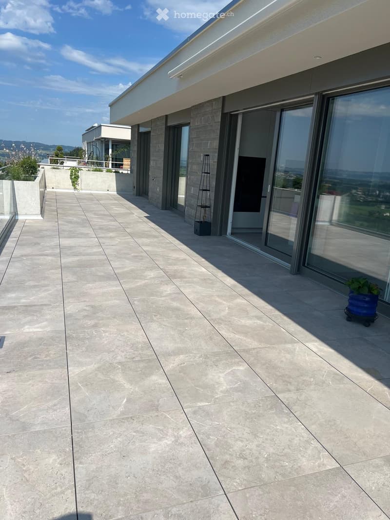 Modern rooftop terrace with large concrete tiles, expansive views, glass sliding doors, and a small potted plant.