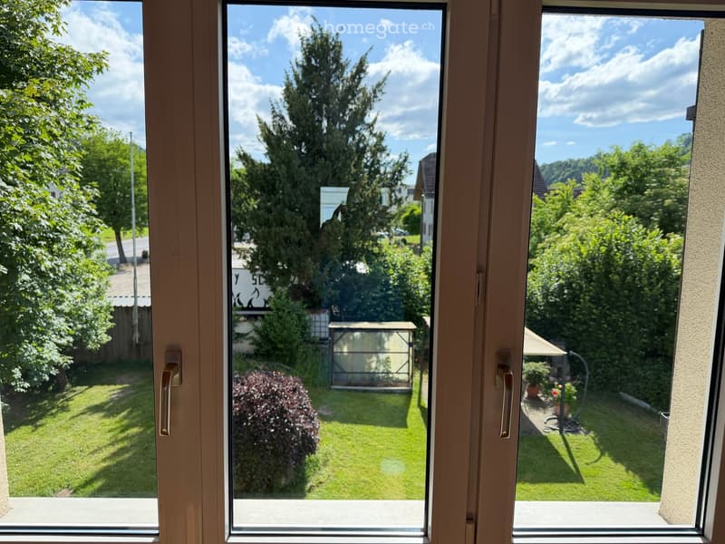 View from a window showing a well-maintained garden with green grass, bushes, trees, and a small greenhouse structure.