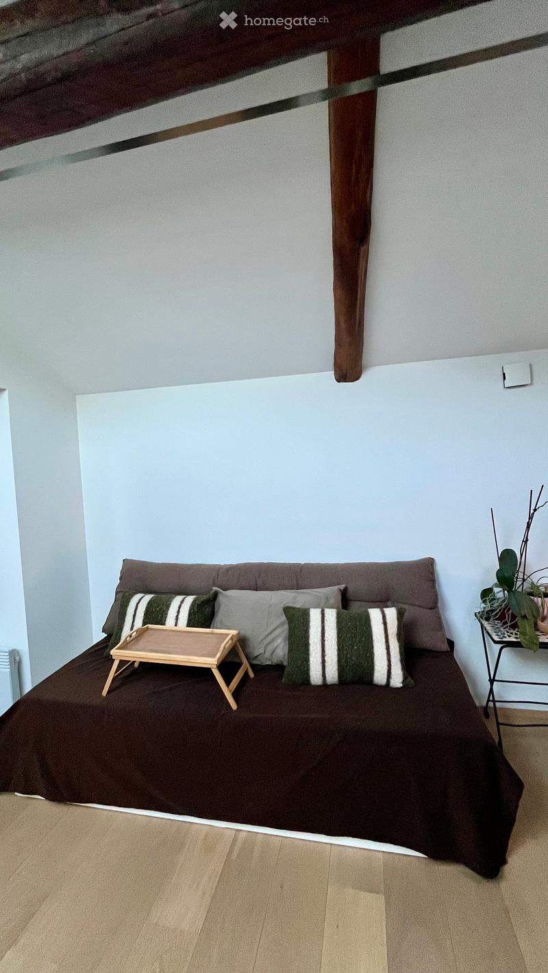 A modern, minimalist bedroom with a sofa bed, decorative pillows, a small wooden table, and a potted plant on a side table.
