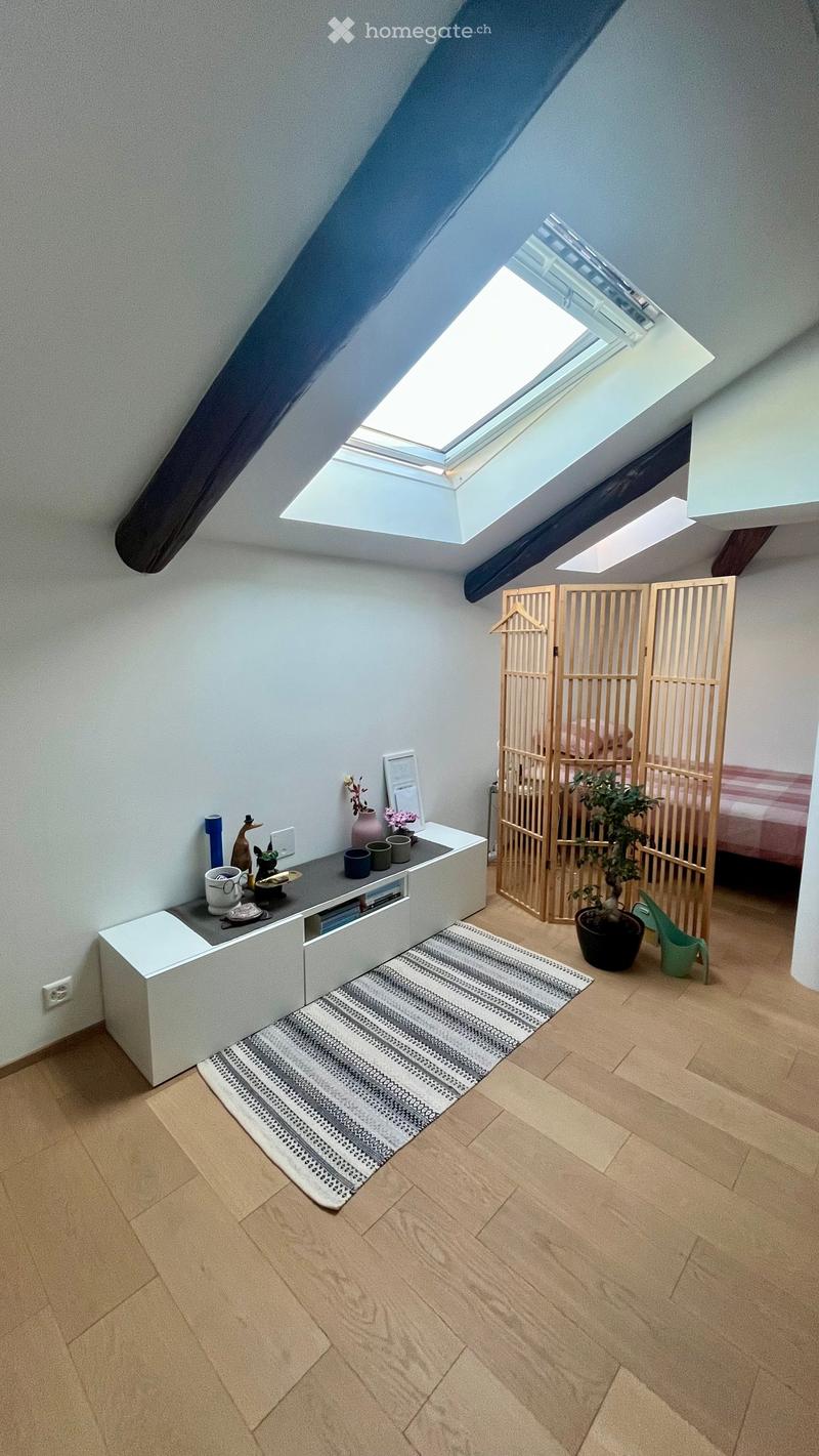 A modern, well-lit attic room with wooden floors, a skylight window, a white cabinet with decorative items, a patterned rug, a potted plant, and a screen divider leading to a bed area.