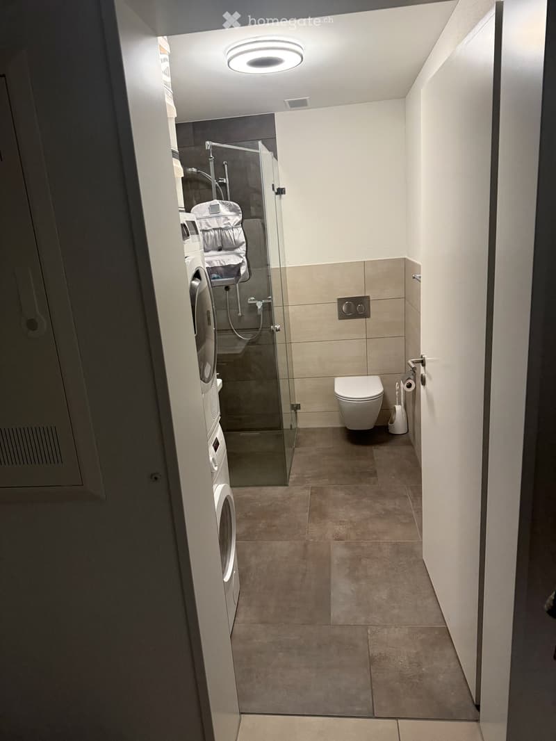 Modern bathroom with a toilet, glass-enclosed shower, washing machine, and a round ceiling light.