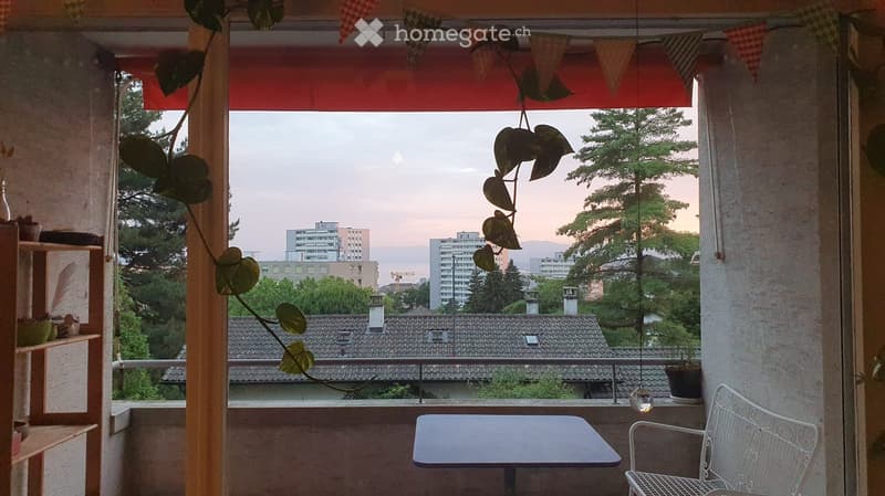 Balcony with a table, chair, potted plants, and a view of the cityscape at sunset.