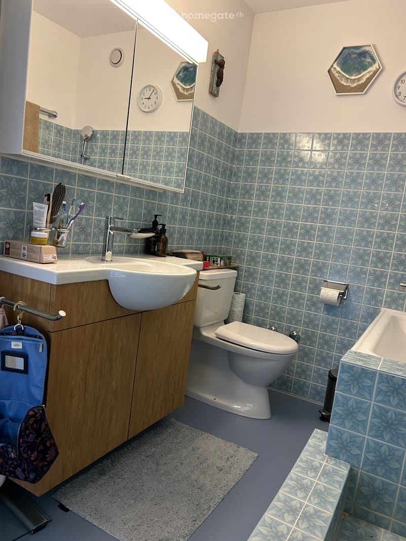 Bathroom with blue floral tiles, white sink, toilet, bathtub, and wooden cabinet. Includes toothbrush holder, soap dispenser, and decorative wall art.