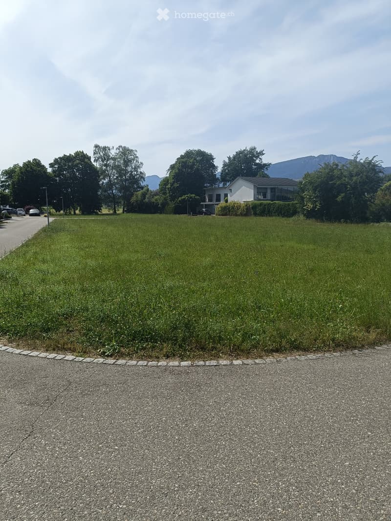 A large, open grassy field with a modern two-story house in the background, surrounded by trees and a mountainous backdrop.